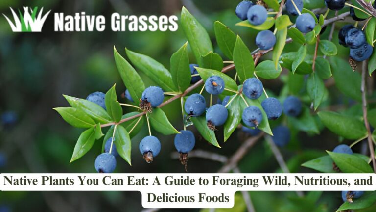 Native Plants You Can Eat: A Guide to Foraging Wild, Nutritious, and Delicious Foods