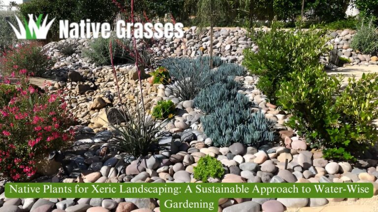 Native Plants for Xeric Landscaping: A Sustainable Approach to Water-Wise Gardening