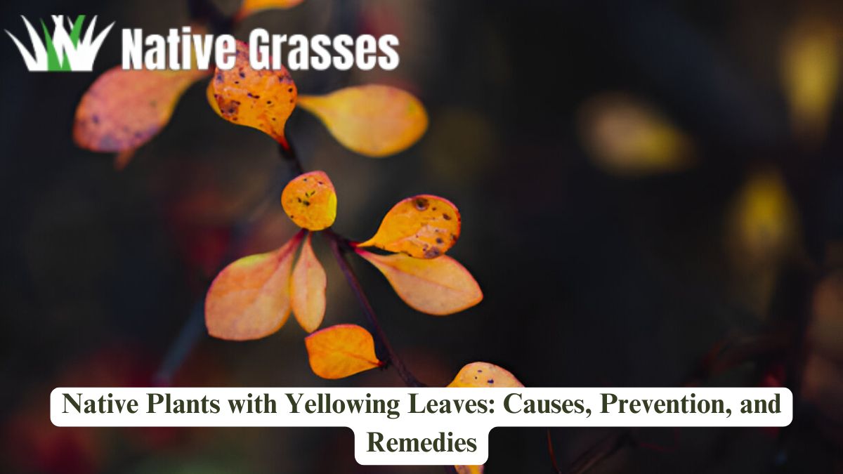 Native Plants with Yellowing Leaves: Causes, Prevention, and Remedies