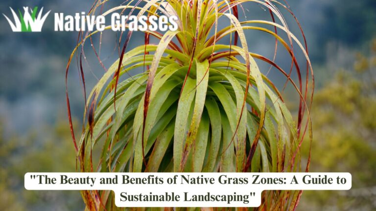 "The Beauty and Benefits of Native Grass Zones: A Guide to Sustainable Landscaping"