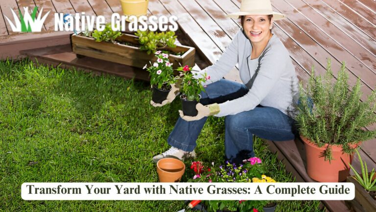 Transform Your Yard with Native Grasses: A Complete Guide