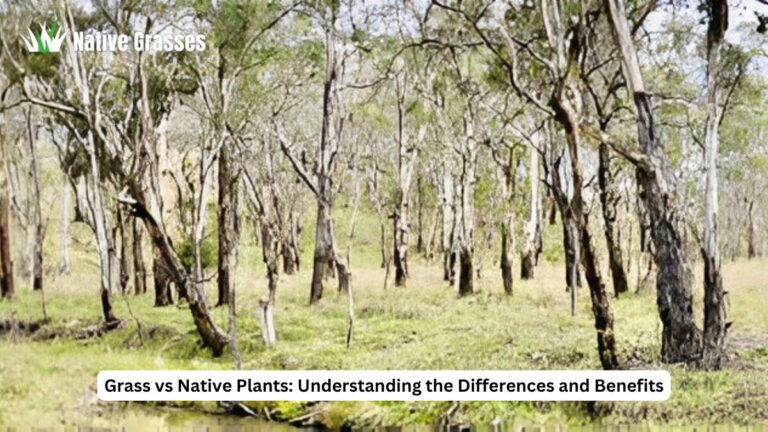 grass vs native plants